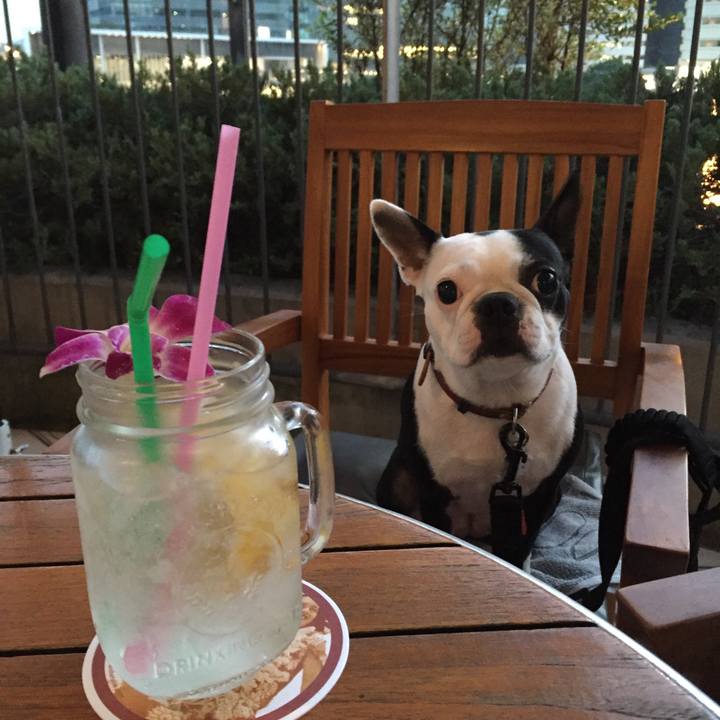 D2873184 6f23 45e3 a4e1 515ba7aad2b4