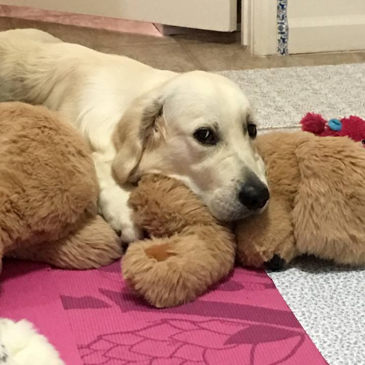 D2878977 ba8e 4d78 9e22 19154e1d89a6