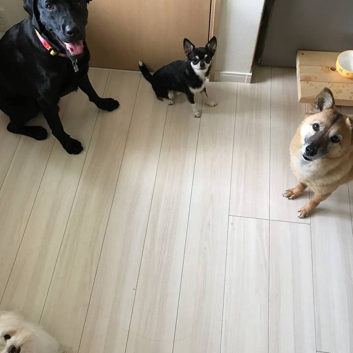 D287a6c2 8c12 493b 83e3 a171581fcc83