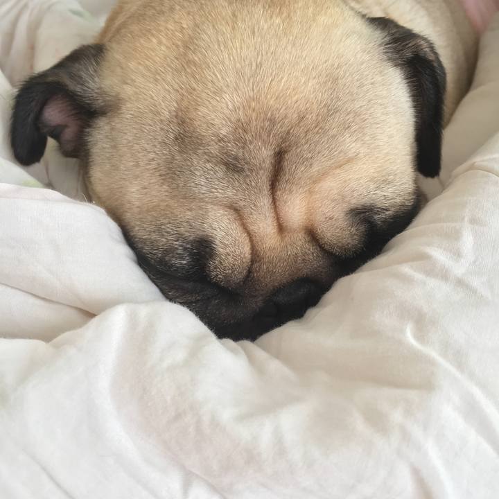 D287fb27 da89 4380 bacc 5cd7ea080783