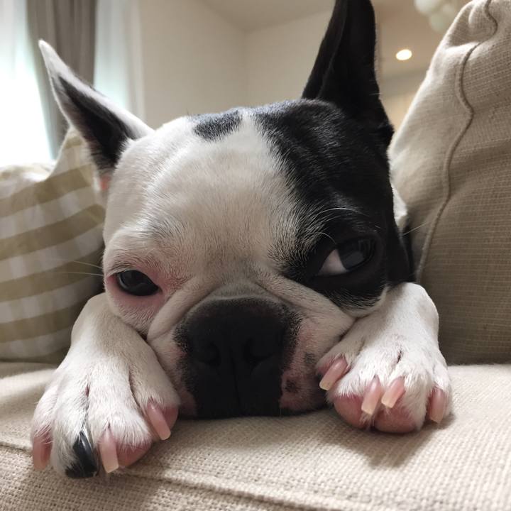 D2886ae0 f6ae 41f2 a762 d67b905ca110