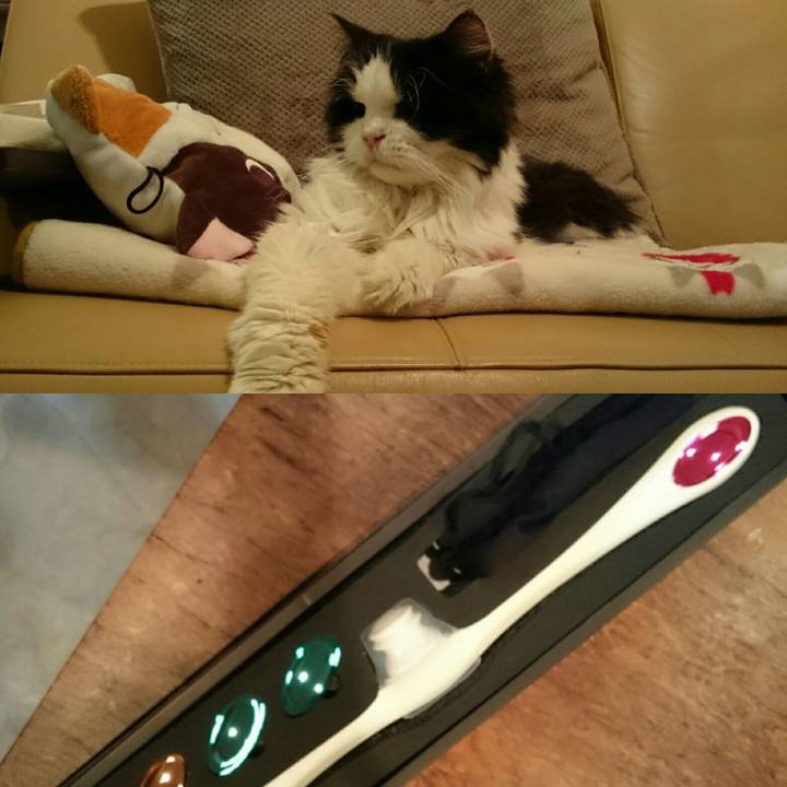 D2887fa4 0690 480c adad 83796ca9de65