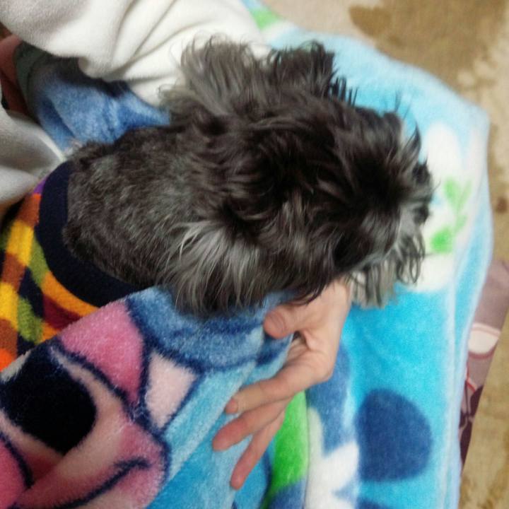 D288b1ae 59e3 4605 bfbc f6bd87cd48ff