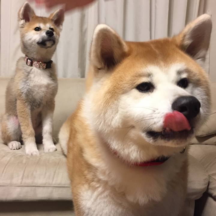 D2891873 0fe9 4d21 b652 4de62317c801