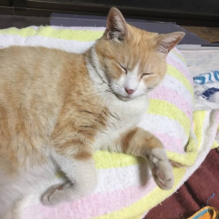 D2894e0d f074 4767 8289 3e44de0bc234