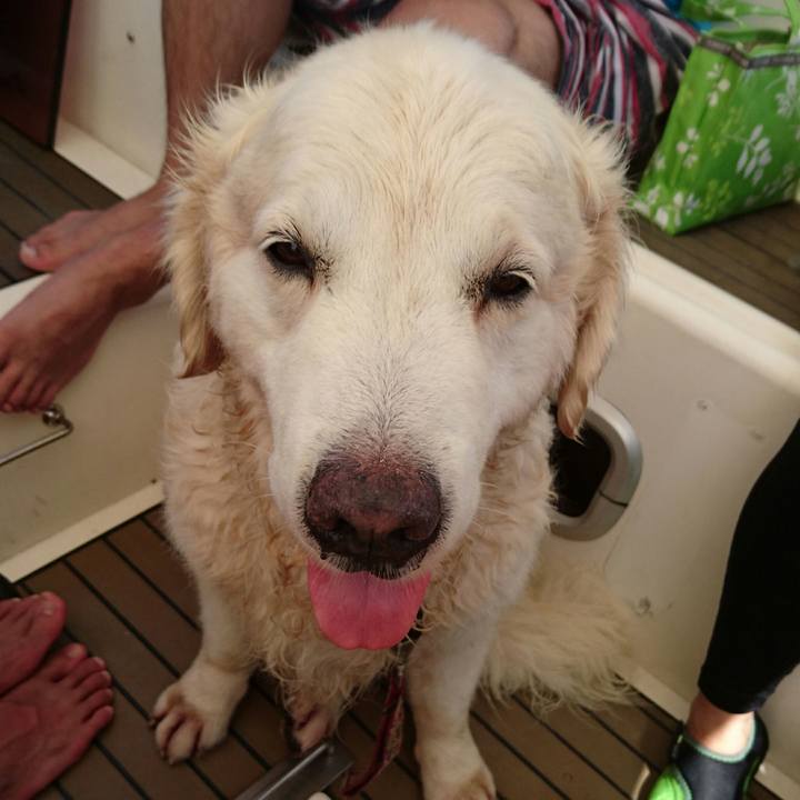 D289a7e9 46d1 4f04 959d e9a1901ea98e