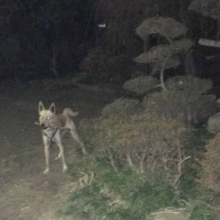 D289edf5 a52e 4556 8018 1aea8be6064a