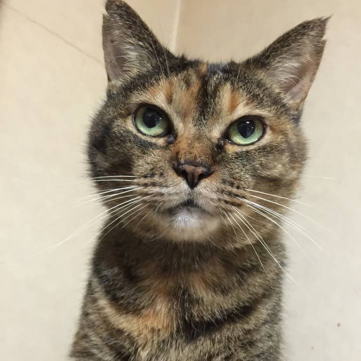 D28a1423 07c5 4055 a5e9 76183ab52a9b