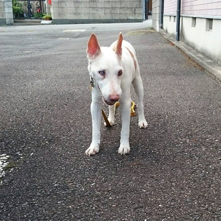 D28a40d5 2183 4dff 8af5 243b4cebcf80