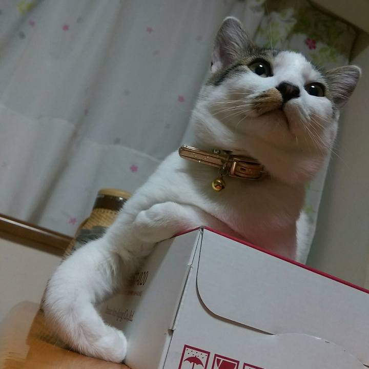 D28ae7ac 3f65 4b15 bf2a e6db383c0947