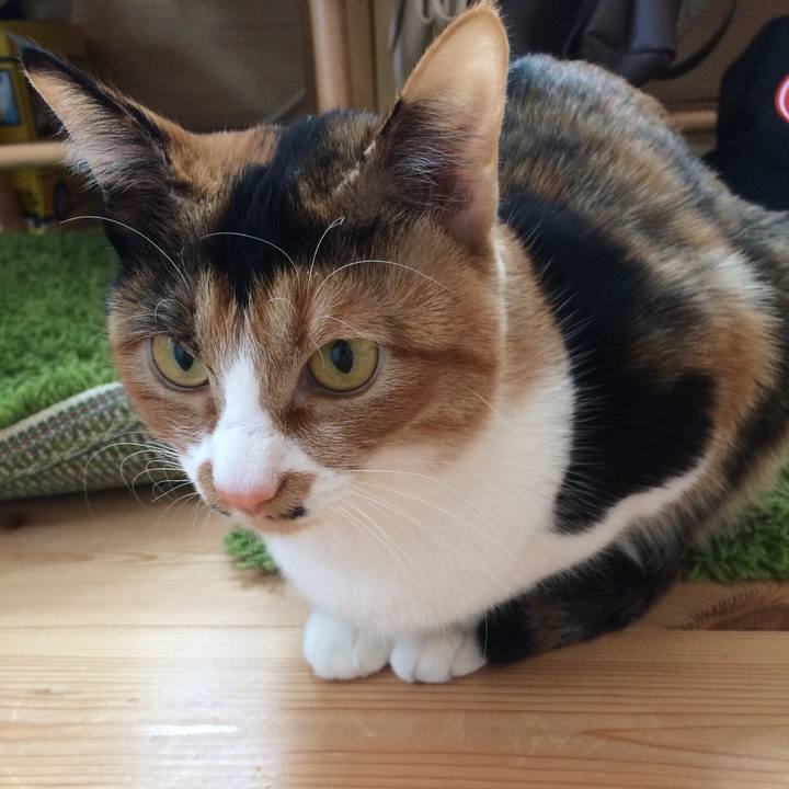 D28b8471 3215 487d bd57 66b2b932ecdd