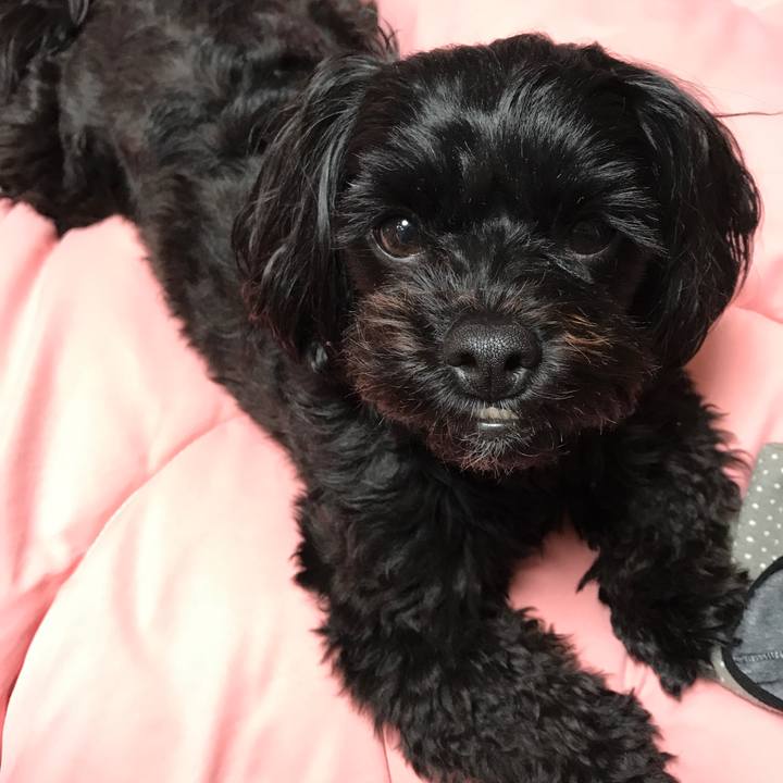 D28e003e 8c4f 4a7e b453 197a3dffb340