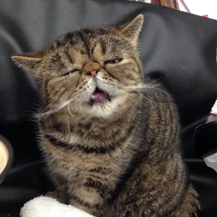 D28ea259 3246 404c 8902 e886b4112f9b