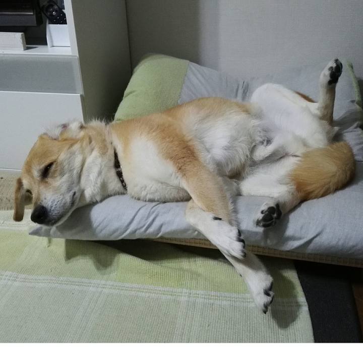 D28f0dbc b984 4742 9419 c252a7203283