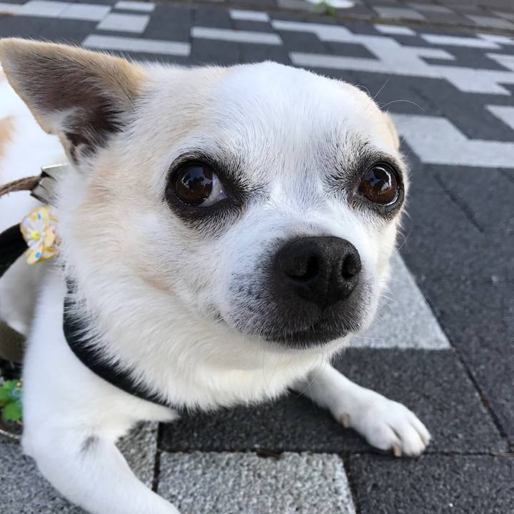 D28f2887 d98f 47e6 ab79 af1e8a0da095