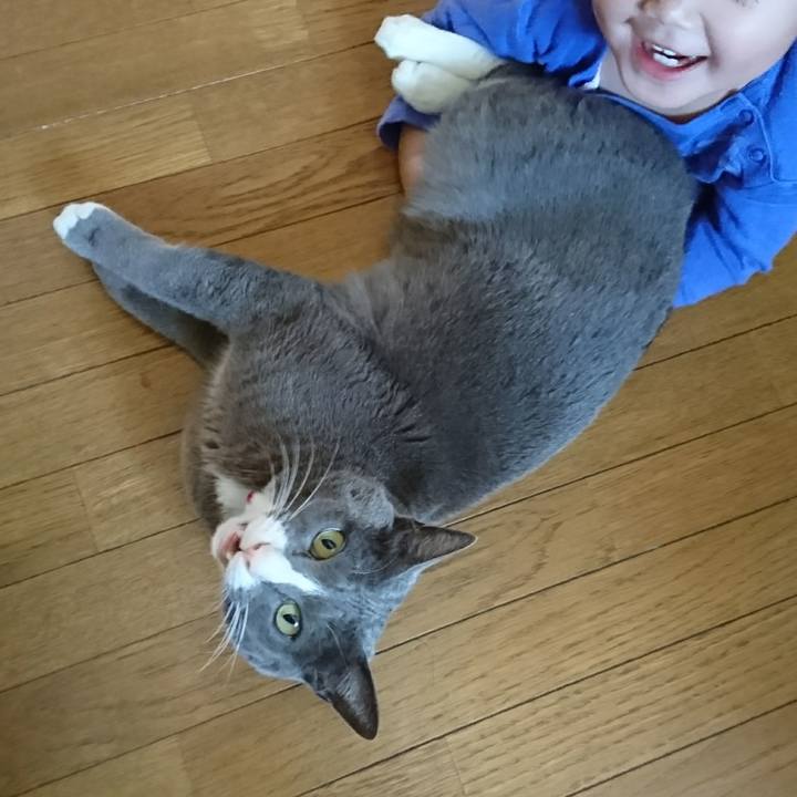 D2904e74 0a1e 4f42 9e08 2ffc0937dd69