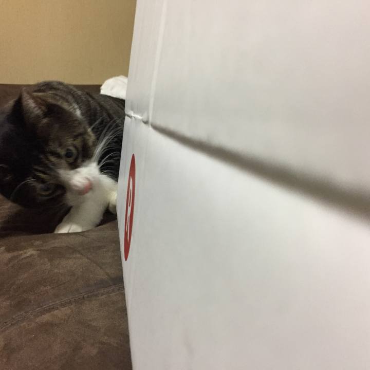 D2907fa3 9304 4799 9c60 1da65222114e