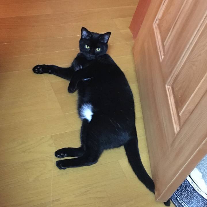 D2907fd3 a4e8 4068 9ee6 77efbbbd4b20