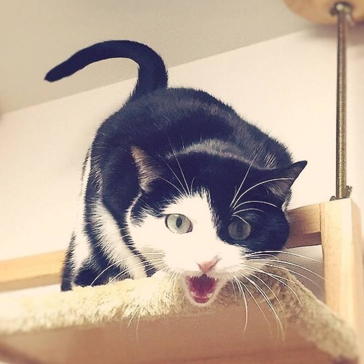 D2911691 fa37 4f03 b6c2 c8e83b8fd272