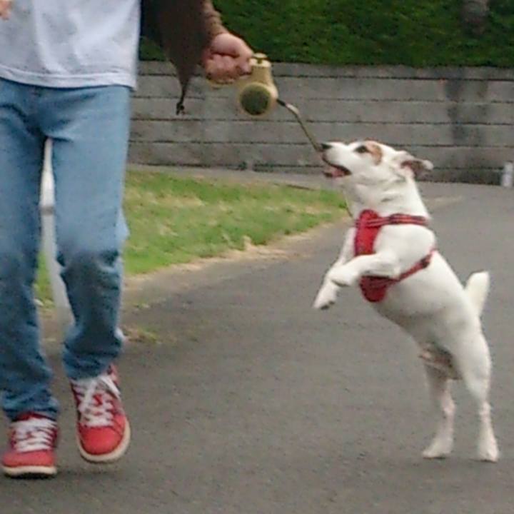 D291be93 dfe5 4dd2 8c29 36c7b0b3994b