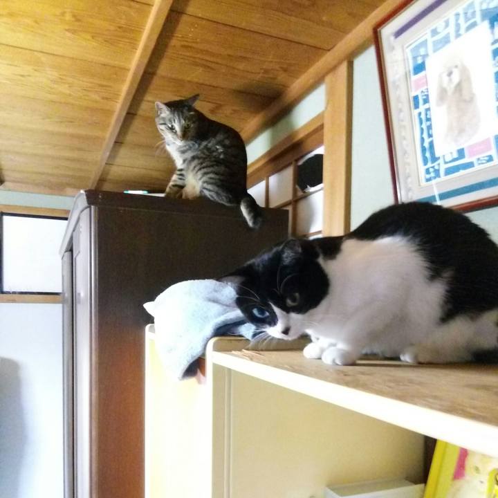 D291f5d5 b0d7 4bb3 9171 c1bb92c9c1fe