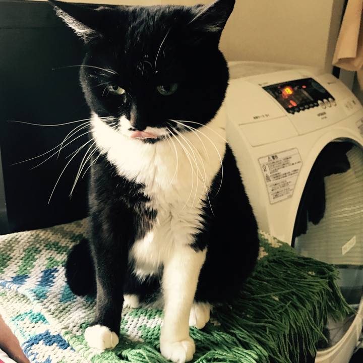 D2924331 ba39 4d54 b661 7e99dfed7067