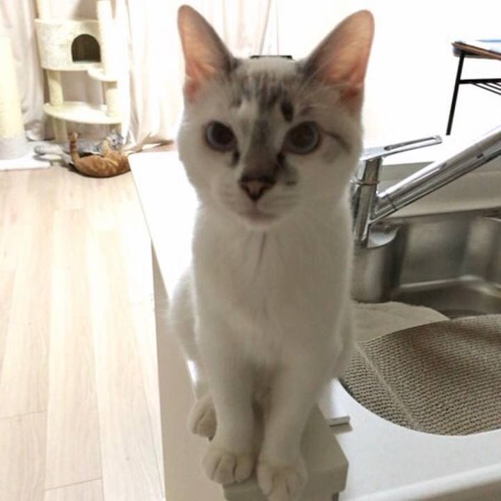 D29259e1 78ff 4720 ab92 90e4beb96d9c