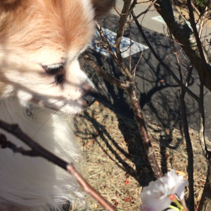 D2925ddc 1a7c 40da 8700 65acf837e8c8