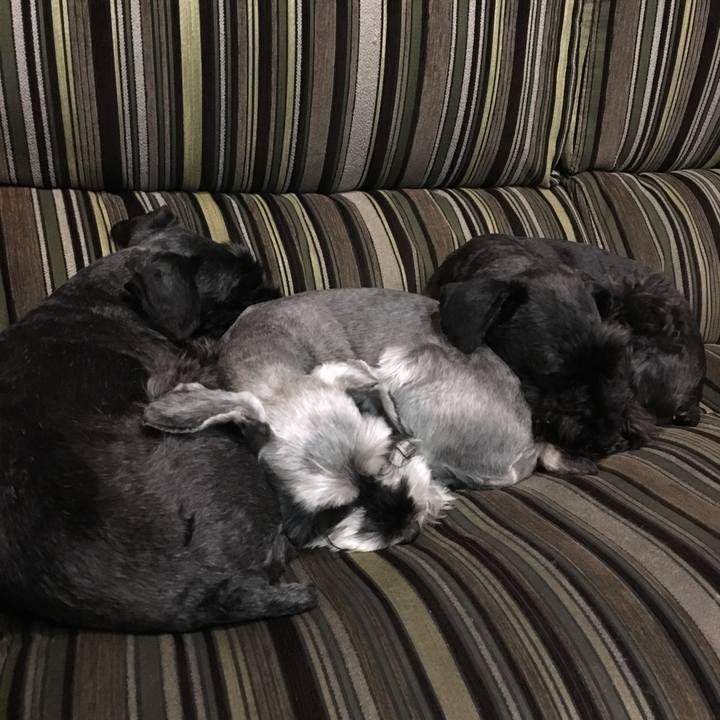 D2926650 a9f8 46d3 a45d 1f4992a8fcd8