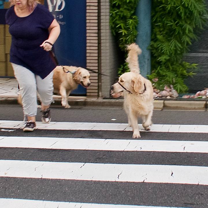 D29364c3 65db 42bf 8d92 5ba43a25ab93