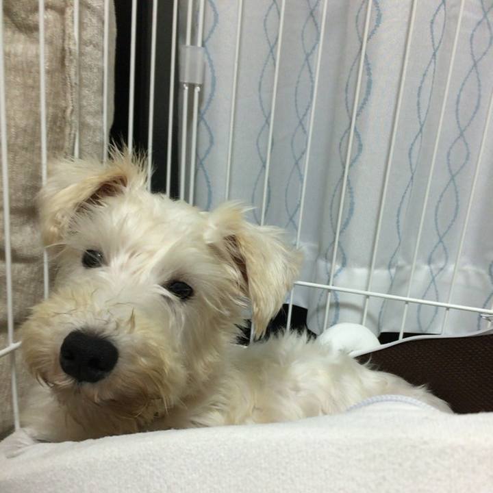 D294ab05 2651 410e 8587 8cbf84606d83