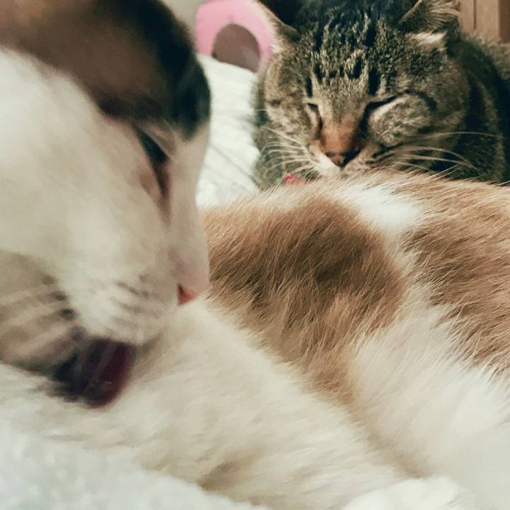 D294fdde 9a51 412e 910a 69c27ed4a00d