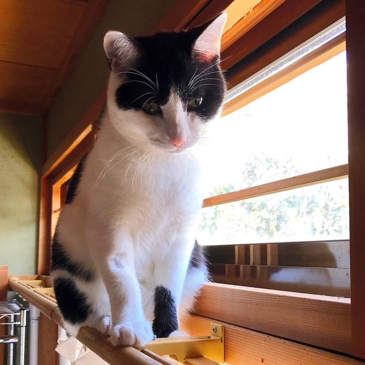 D295741d a403 4d8a 8924 98b3a06fb561