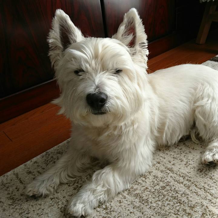 D29575b4 c6df 4965 ab64 15f6fc2eda22