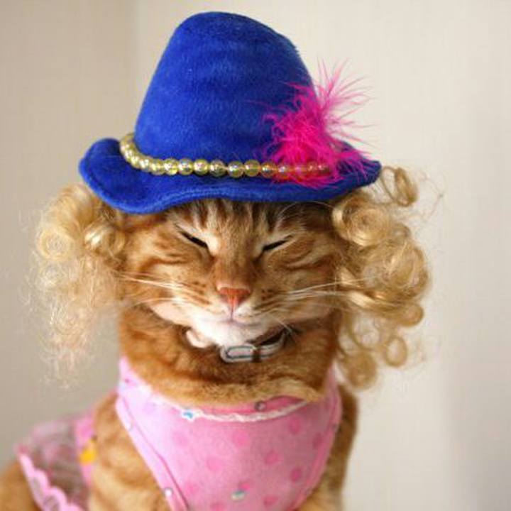 D295c4cf af28 4abe 88d9 dd9416837be9