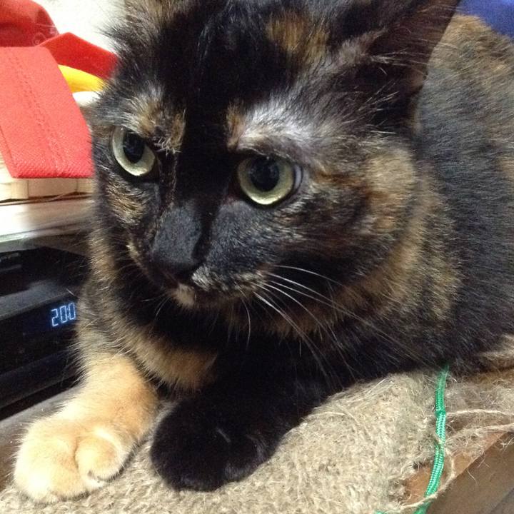 D295f6a9 96d9 426c a305 b56a69422dcc