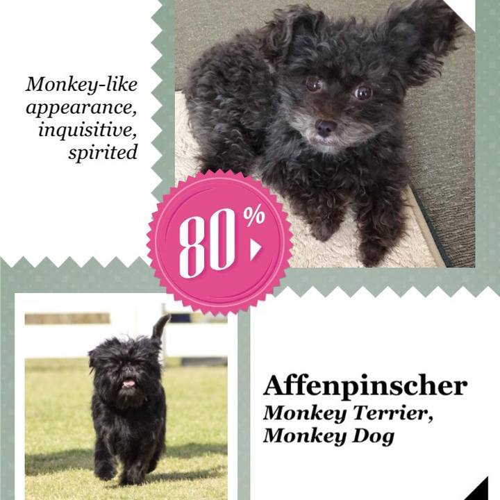 D2970cd5 6a65 45a4 8a4a e0b30e09230a