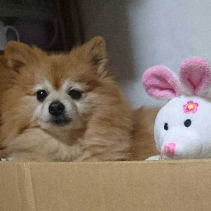 D2973648 ef28 4791 b65c 1e923f5739a8