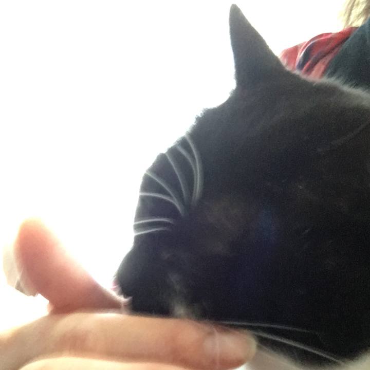 D297711e 6c26 489a 93b2 9d4425eb4350