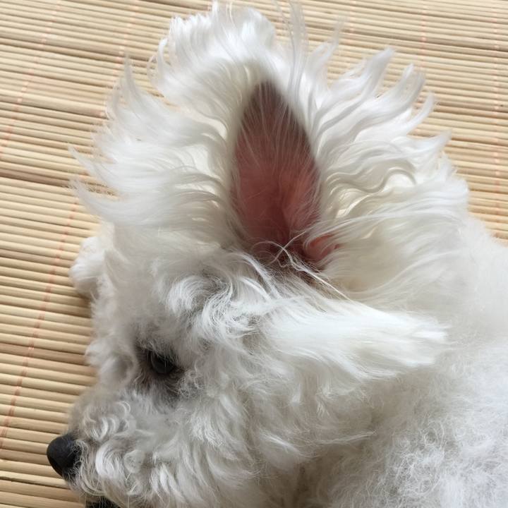 D297af51 2567 48d6 b92c 0c16dec52ab0