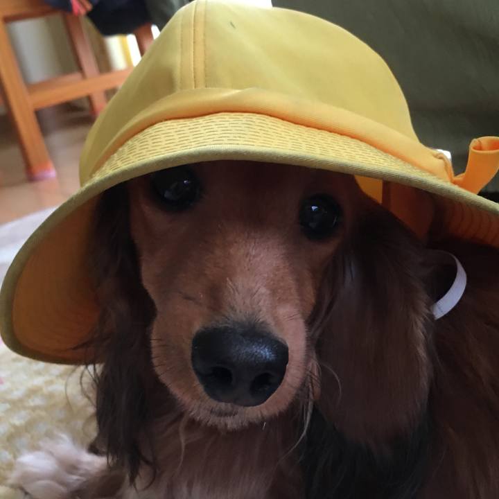 D29832e6 7b6a 4d8a a2a3 2a4cc52965b4