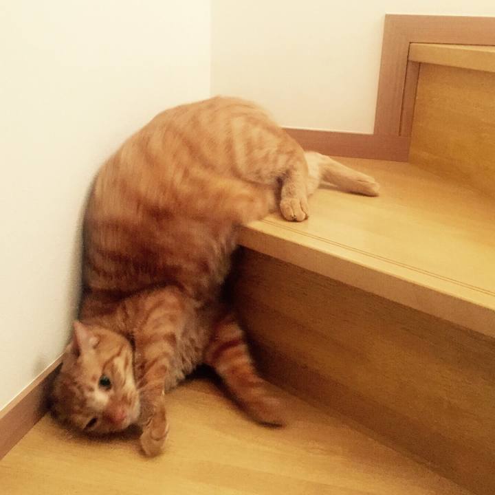 D29866e4 71d1 4260 9b68 4fc31b06cf98