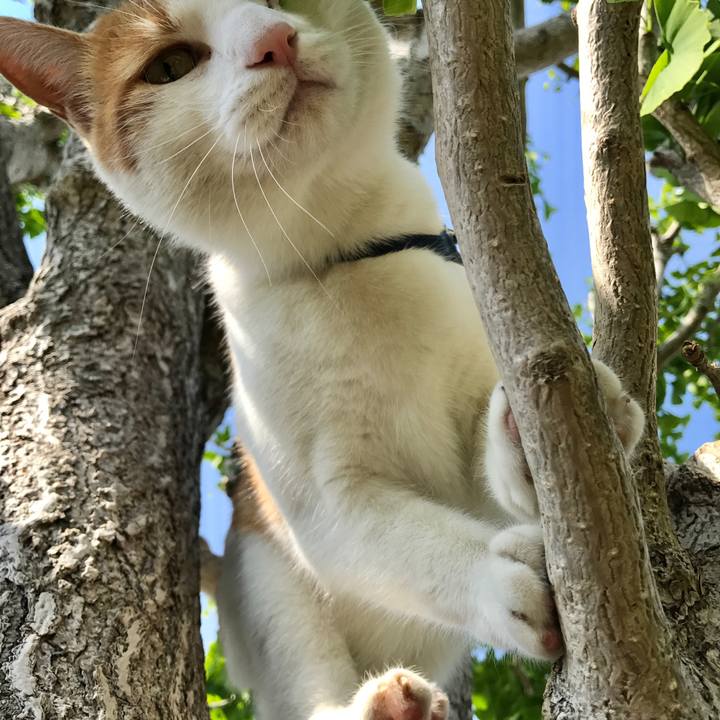 D29996bc 6f1d 4996 b057 1e27fdb0d83d