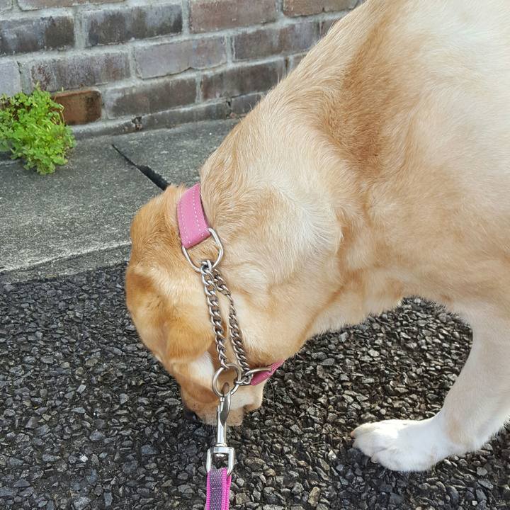 D29abb51 0341 4590 b059 087922203206