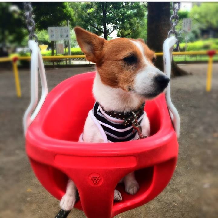 D29ae9be 45e6 41b8 8794 7505038e5113