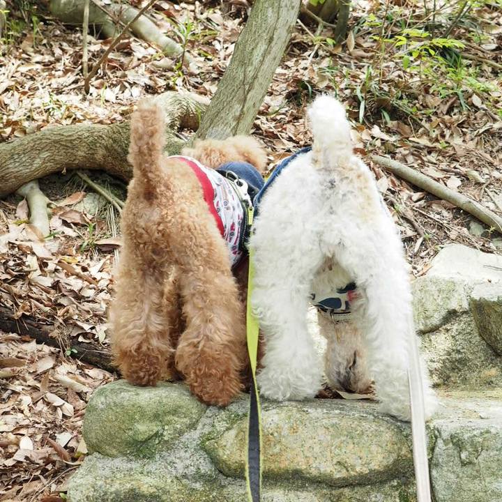 D29b4cbe aa38 47e6 bed1 24bc1c119164