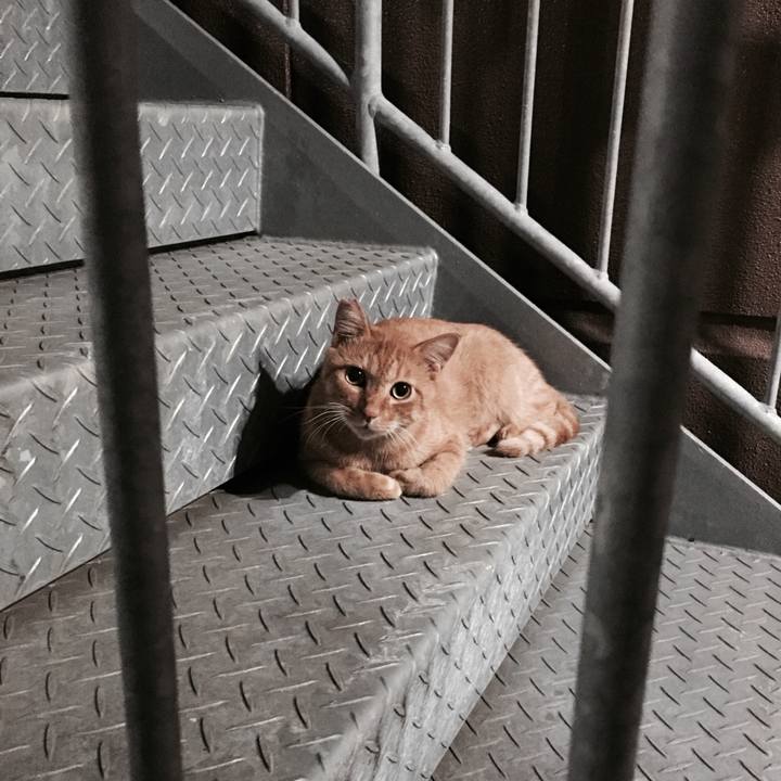 D29b5b70 95f1 4736 b1f4 ea6cf2b2233a