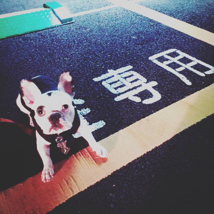 D29b8c25 1bcf 402e 88aa c71cb88dd99b