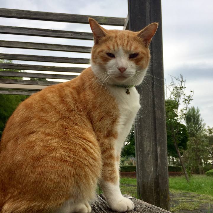 D29bbc83 66bb 440b ba47 8e300a2ec3f8