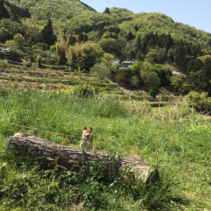 D29c5d8e 3991 4d7f 8f5e 1c1d3525c3aa